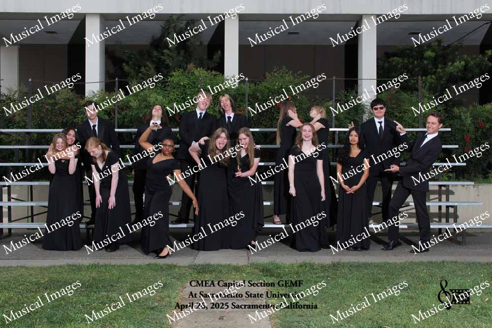 Musical Images